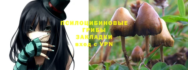 трава Вяземский