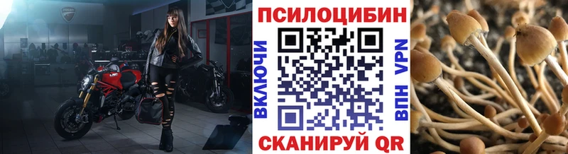 Галлюциногенные грибы Cubensis  Заречный 